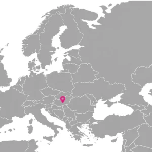 Global expansion strategy and international market vision for logistics automation company